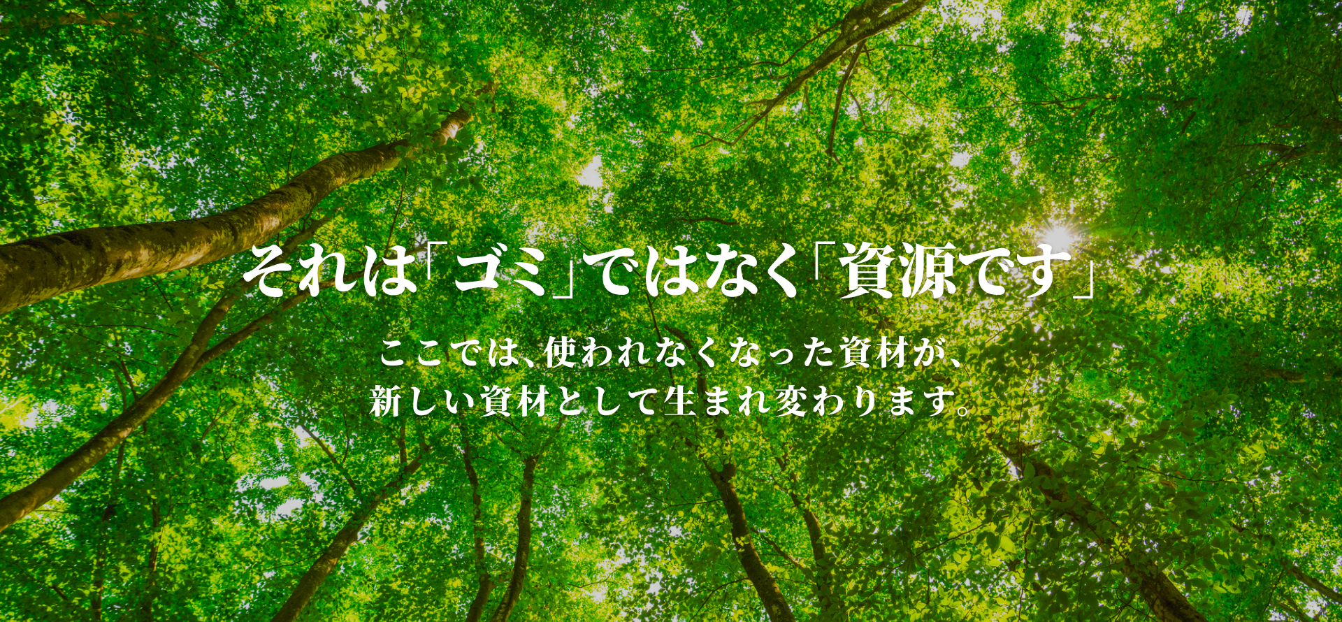 mainimage